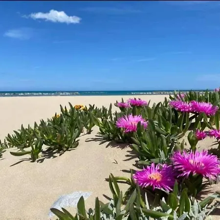 Marea Il Tuo Angolo Di Paradiso In Sicilia Ti Aspetta Prenota Ora E Vivi La Magia Del Mediterraneo